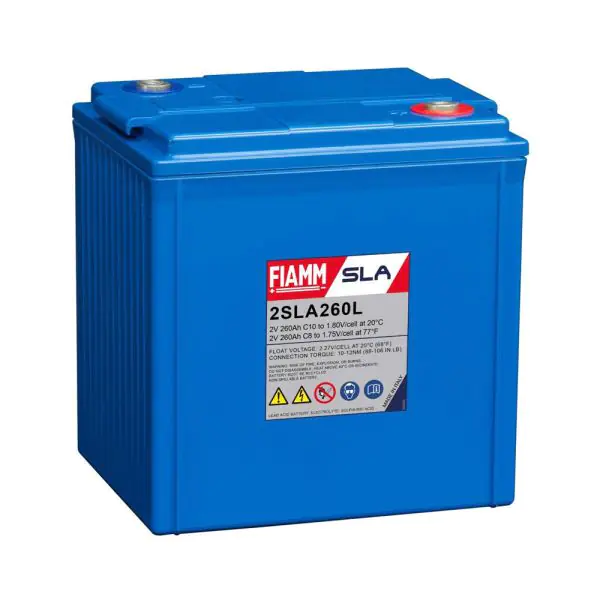 FIAMM Battery